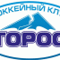 Поражение поражению рознь - ХК Торос