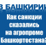 Как санкции сказались на агропроме Башкортостана? - Красное Знамя