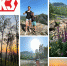 Фото из личного архива Юлии Щелчковой, «КЗ». - Красное Знамя