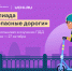 Чтобы передвигаться по городу без лишнего риска, важно знать ПДД - Красное Знамя