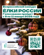 В Башкортостане выберут самую красивую ёлку 