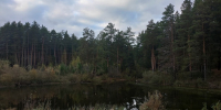 Артур Арсланов, архив "КЗ". - Красное Знамя